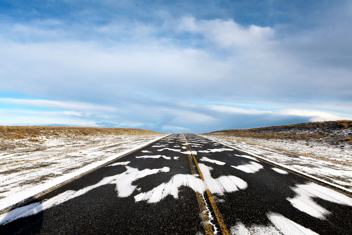 Zebra Road