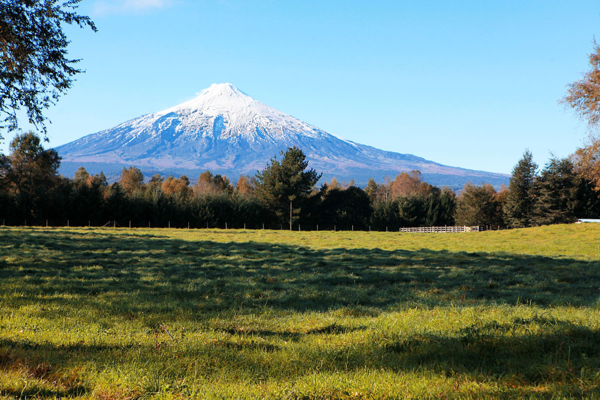 Volcan View