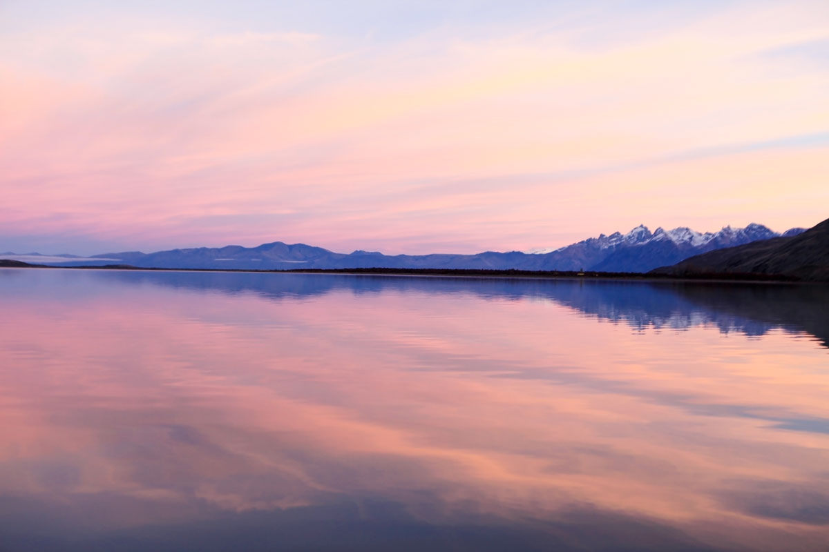 Patagonian Pink