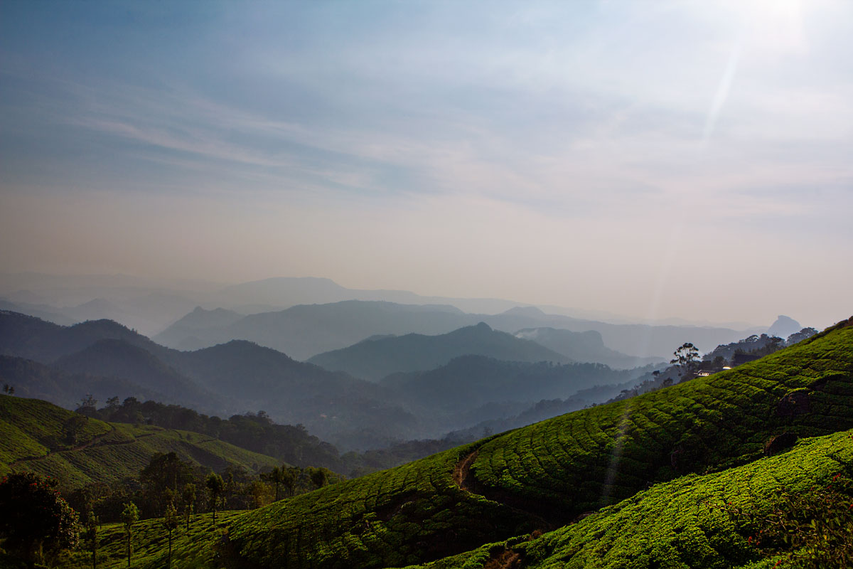 Munnar and Me